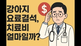 네이버 인플루언서 [네이버 인플루언서] 강아지 요로결석, 치료비 얼마일까?