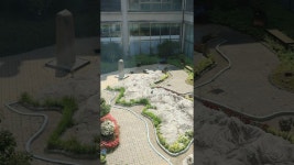 네이버 인플루언서 [네이버 인플루언서] 충청남도 공주 산림박물관 세종 금강수목원