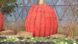 Sony E 70 350mm F4 5 F6 3 Video AF - YouTube Sony E 70 350mm F4 5 F6 3 Video AF