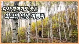 여행지 강원도 인제 여행 / 원대리 자작나무 숲, 가을꽃 축제, 박인환문학관, 산촌민속박물관, 스마트복합쉼터, 인제스피디움 / 가을 여행지, 국내여행