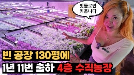 130평 빈 공장에서 일년내내 수확하는 실내수직농장 - 해외셀러 미니 갤러리