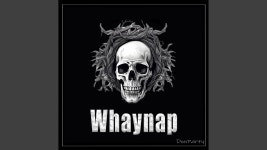 Whaynap - DonParty: Song Lyrics, Music Videos & Concerts