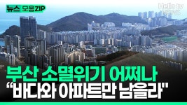 아파트에 미쳐버린 부산 - 부동산 갤러리
