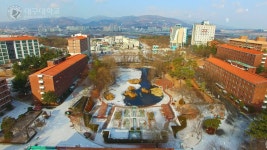 첫눈이 내린 대구 경산 캠퍼스 찾아봄 - 삼성 라이온즈 갤러리
