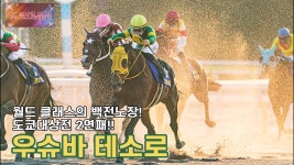 핫산)우슈바 테소로-23 도쿄대상전 「중앙의, 월드 클래스의 달리기!」 - 우마무스메 마이너 갤러리