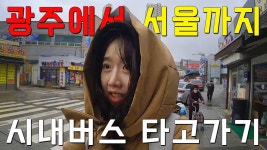 역시 이런건 - 교통 마이너 갤러리