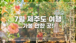능소화로 가득한 이국적인 공원🌴 | 제주도민 추천 여행지 | 여름 제주 여행 | 제주 서쪽 여행 | 아이와 제주도 여행 코스 추천