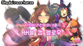 스타블로썸 기념 핫산) 1996년 아키텐 - 버블껌 펠로우 - 우마무스메 마이너 갤러리