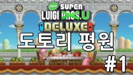 뉴 슈퍼 루이지 U | 미니맵