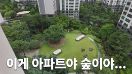 네이버 인플루언서 [네이버 인플루언서] 대한민국 가장 비싼 땅, 숲을 품은 아파트│반포래미안퍼스티지 62평 탐방기