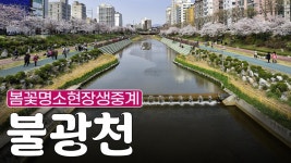 [#다시, 봄 in 서울🌸] 불광천 벚꽃 실시간 Live l 4월 4일 (목) - YouTube [#다시, 봄 in 서울🌸]  불광천 벚꽃 실시간 Live l 4월 4일... 