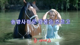 The River In The Pines - Joan Baez 솔밭사이로 강물은 흐르고... Joan Baez  솔밭사이로 강물은 흐르고 - 플레이리스트 공유 - 소리전자