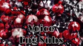 voice (feat. Megurine Luka) - otetsu: 노래 가사, 뮤직 비디오 및 콘서트