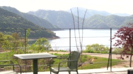 네이버 인플루언서 [네이버 인플루언서] C0013