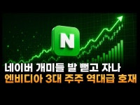네이버 개미들 드디어 발 뻗고 자나…엔비디아 3대 주주 등극 역대급 호재 터졌다