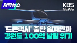 드론택시 중단.youtube - 특이점이 온다 마이너 갤러리