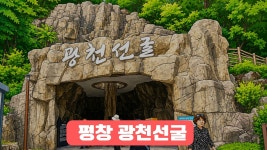 광천토굴식품제2공장 | 네이버 인플루언서 [네이버 인플루언서] 광천선굴