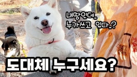 네이버 인플루언서 [네이버 인플루언서] 내 땅인데 누가 쓰고 있다고?! (땅 낙찰 받았는데 들어오지 말라네요..ㅠㅠ 결국 법정싸움까지...)