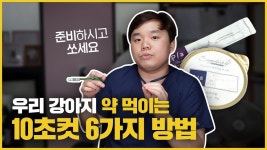 네이버 인플루언서 [네이버 인플루언서] 24시청담우리동물병원의 강아지약먹이는법