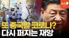 야로나 다시 유행각이노 - 새로운보수당 마이너 갤러리
