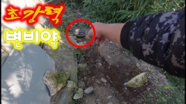 들고양이에게 복수하는 청계 농장주 - 싱글벙글 지구촌 마이너 갤러리