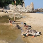 JJINGOMANG - YouTube JJINGOMANG