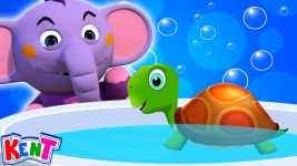 Elephant - Turtle: Song Lyrics, Music Videos & Concerts
