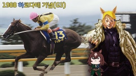 신데렐라 그레이 11화 실제 경기 보기.avi - 우마무스메 프리티 더비 마이너 갤러리