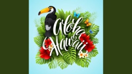 Aloha - Cool - H2kstudio | Shazam Aloha - Cool - H2kstudio