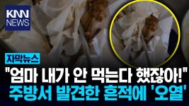 찜닭 뉴스 나옴 - 메이플스토리 리부트 마이너 갤러리