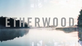 Taken Away - Etherwood: Song Lyrics, Music Videos & Concerts
