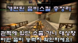 카스온라인 이때부터해서지금까지유지된건가요?? - 카운터스트라이크 온라인 마이너 갤러리