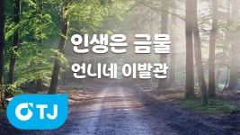 인생은금물 노래방등록됨 - 언니네이발관 마이너 갤러리