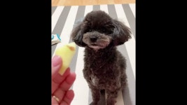 투크투크플룻앙상블 - YouTube