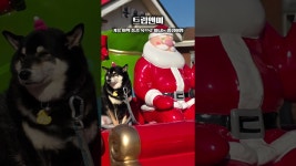 네이버 인플루언서 [네이버 인플루언서] 영주·봉화·태백·정선 당일치기 백두대간 협곡을 누비다 ❄️ #부석사 #분천 산타마을 #백두대간협곡열... 