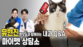 네이버 인플루언서 [네이버 인플루언서] [제232화] 유현진 원장님과 함께하는 고양이 내과