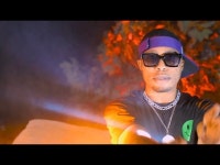 Melody - Exotika | Shazam Melody - Exotika