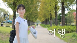 지보동 - 숲 스트리밍 미니 갤러리