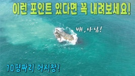 네이버 인플루언서 [네이버 인플루언서] 릴 박살!! 손맛 진하게 보는 화끈한 포인트