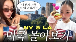 네이버 인플루언서 [네이버 인플루언서] 나 홀로 뉴욕 한 달 살기 & 엘에이까지 다녀 온 미국 여행 브이로그 몰아보기🇺🇸🗽 (39박 40일 미국여행)