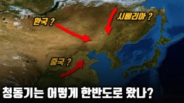 (고고학) 유라시아 청동기의 동아시아 전파 - 역사 갤러리