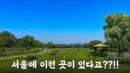 네이버 인플루언서 [네이버 인플루언서] 서울에 이런 곳이 있었어? 서울에서 꼭 가봐야 하는 여행지 마포순환열차 타고 다녀와 보세요!