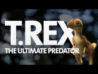 The T. rex family revealed: Natural History Museum unveils most accurate models ever Natural History Museum unveils most accurate... 