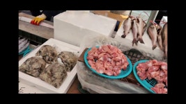 네이버 인플루언서 [네이버 인플루언서] 2026 영주 원당로 오일장 설 대목장 풍경 