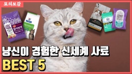 네이버 인플루언서 [네이버 인플루언서] 냥신이 추천하는 고양이 사료 BEST 5 feat. 고양이 사료의 신세계