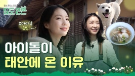 충남TV | 5도2촌 1화 - 오마이걸 브이라이브 마이너 갤러리