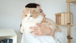 네이버 인플루언서 [네이버 인플루언서] 서러우면 안아달라고 하는 디디 고양이