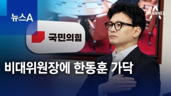 [애널에이] 비대위원장으로 한동훈 가닥 - 더불어민주당 마이너 갤러리