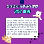 본펫동물병원 - YouTube