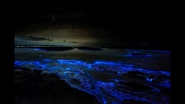 이모힙합에 후예 루키 띵 곡 ㄷㄷㄷㄷ - 힙합 갤러리